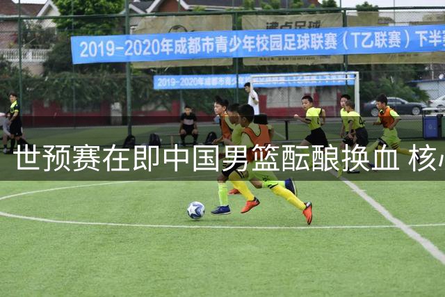 世预赛在即中国男篮酝酿换血 核心主力伤愈归队剑指晋级